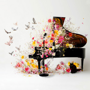 Tamir Hendelman